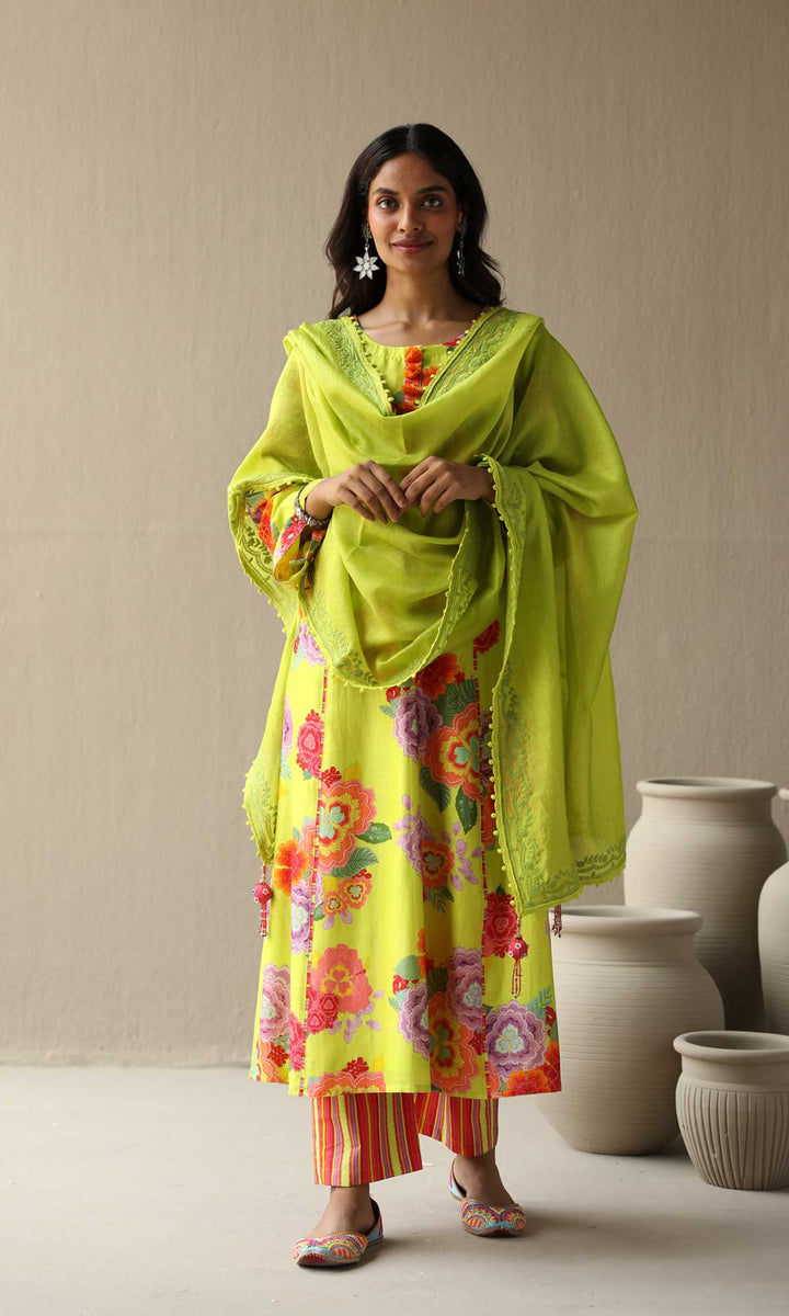 Nargis Set- Baby Blue chanderi hand embroidered kurta with pants and embroidered dupatta (Set of 3)