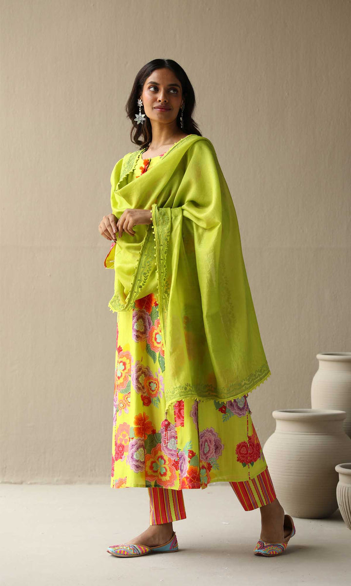 Nargis Set- Baby Blue chanderi hand embroidered kurta with pants and embroidered dupatta (Set of 3)