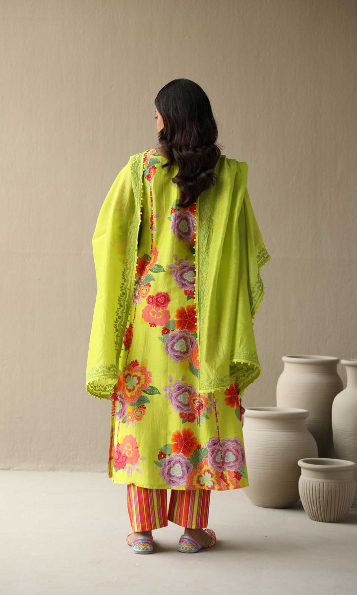 Nargis Set- Baby Blue chanderi hand embroidered kurta with pants and embroidered dupatta (Set of 3)