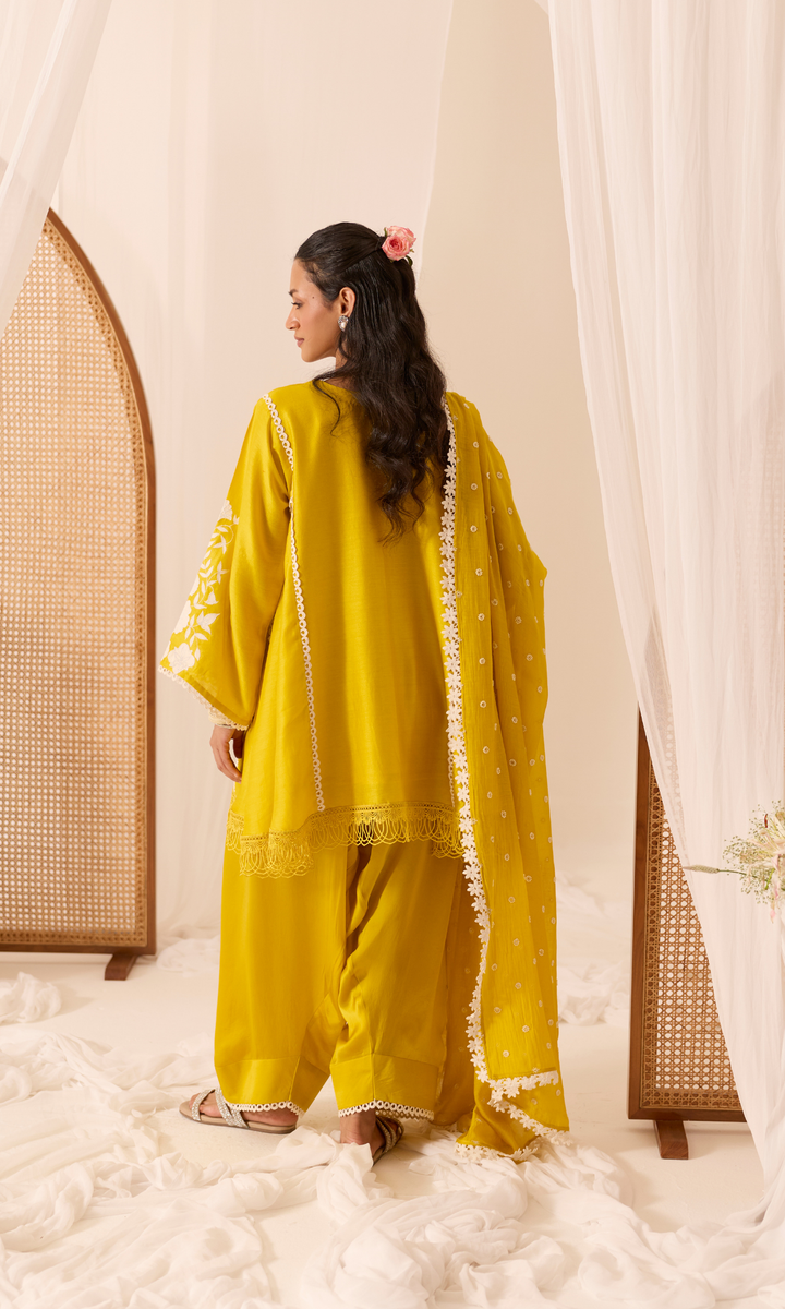 Aleena Set-Patchwork Chanderi Kurta & Farshi (set of 3)