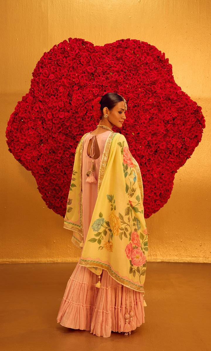 Safina Set- Pastel Pink & lemon Chanderi Embroidered Double Layered Sharara Set (Set of 3)
