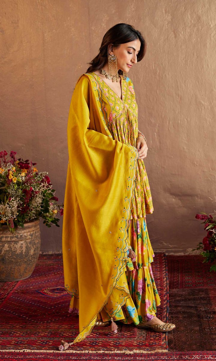 Niqhat Set- Pink chanderi hand embroidered double layered sharara set (set of 3)