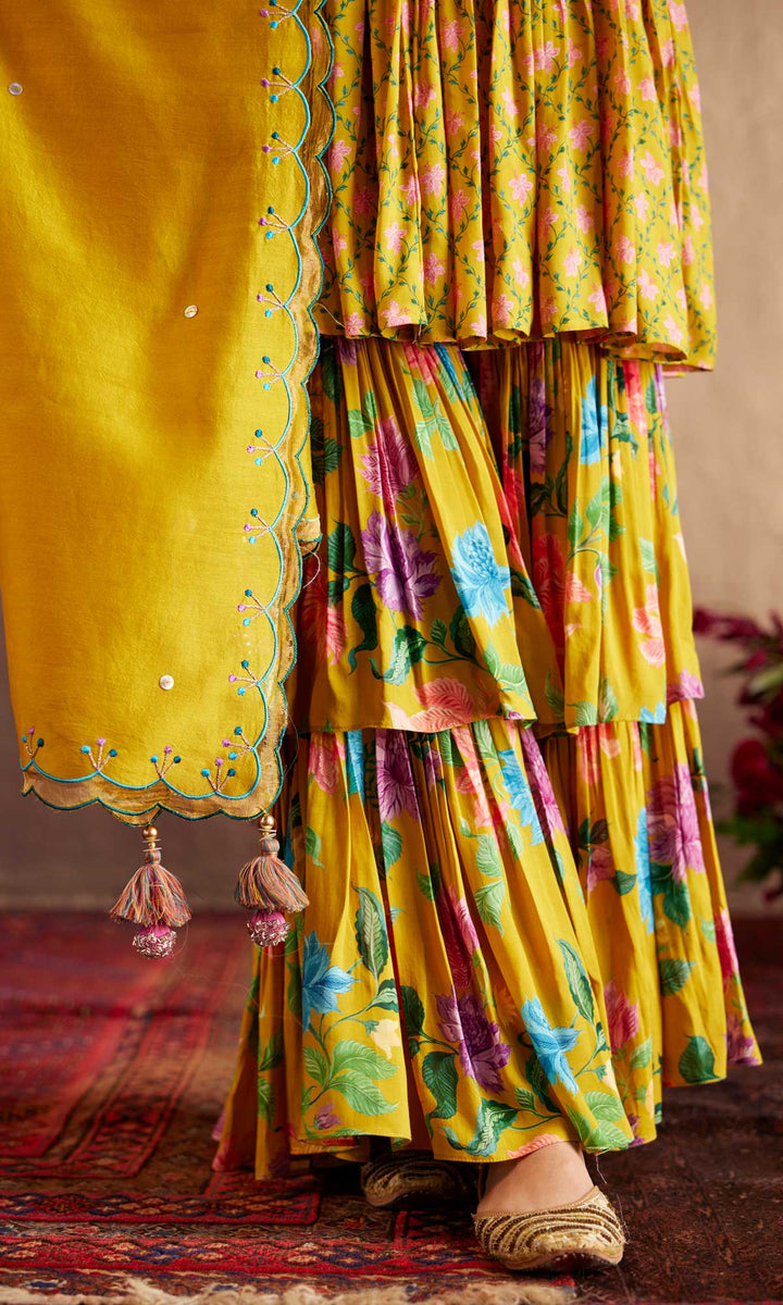 Niqhat Set- Pink chanderi hand embroidered double layered sharara set (set of 3)