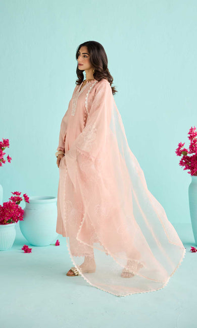 Rida Set- Dusty Peach chanderi hand embroidered kurta with pants and block printed dupatta (set of 3)