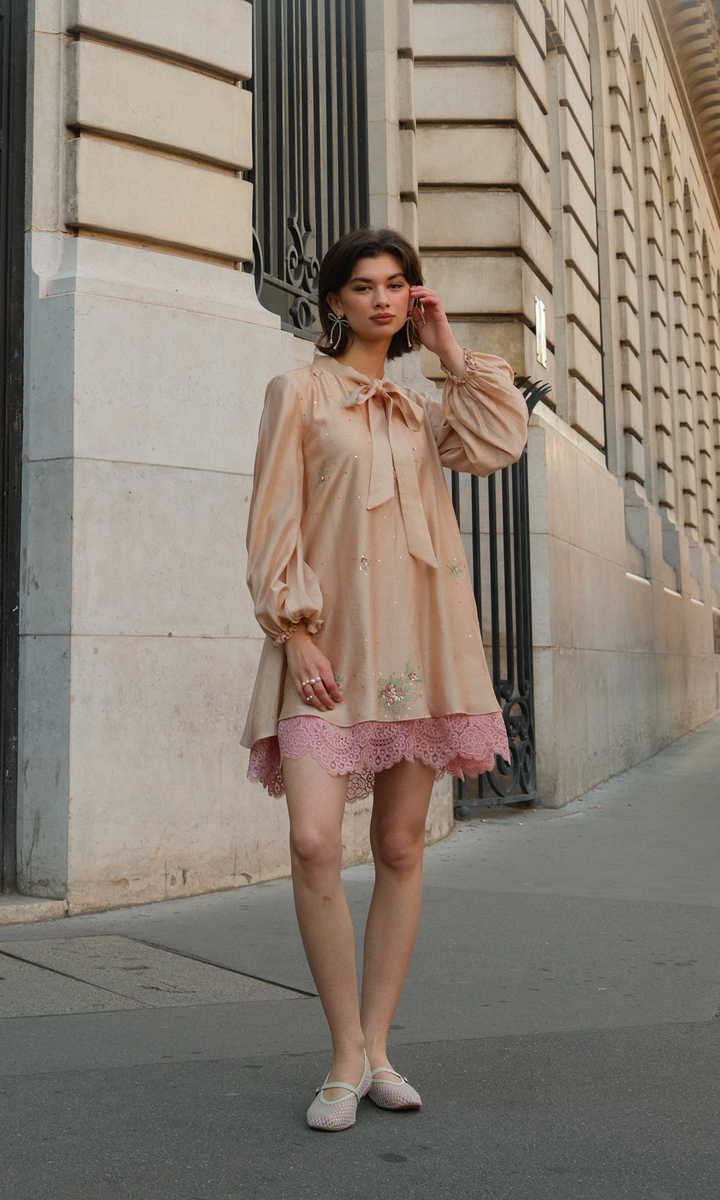 Evarose- Embroidered Layered Dress