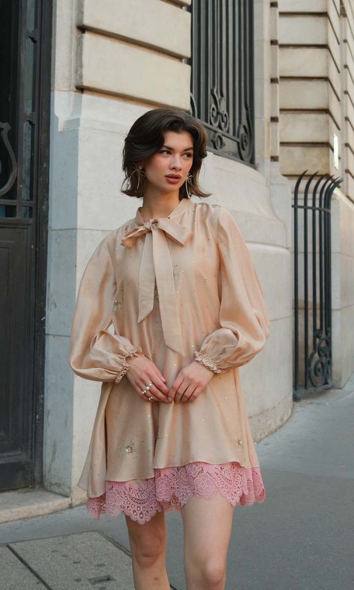 Evarose- Embroidered Layered Dress