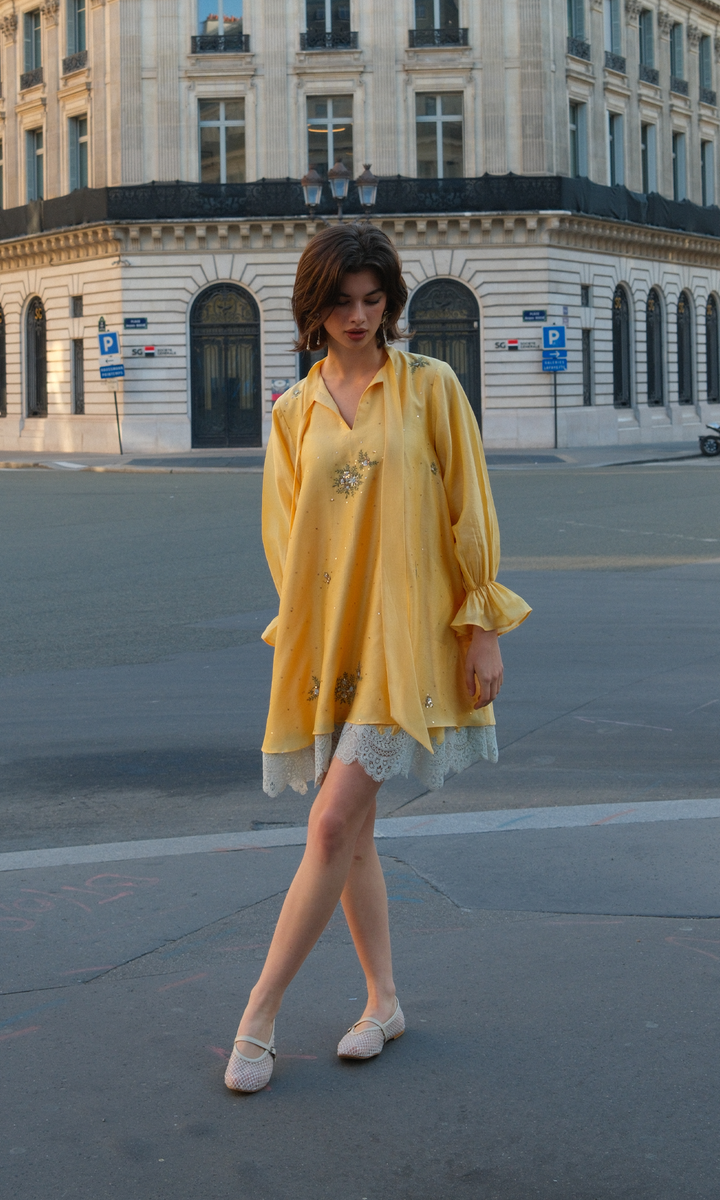 Evarose- Embroidered Layered Dress