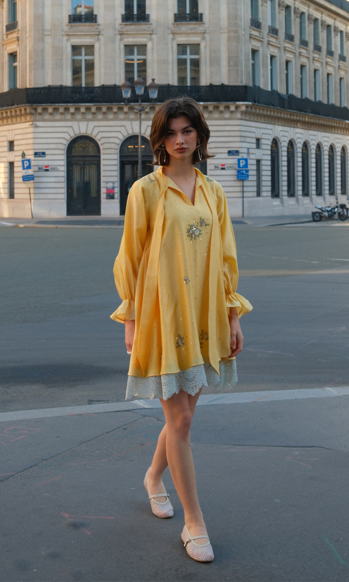 Evarose- Embroidered Layered Dress