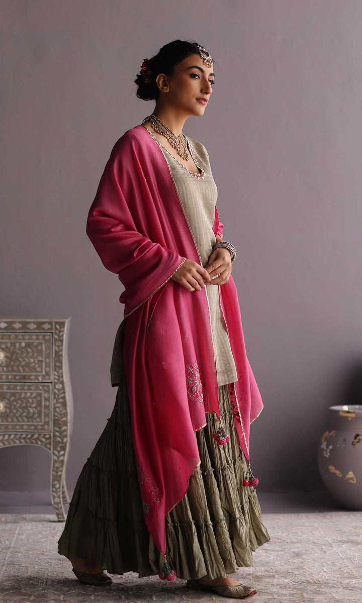 Daria Set- Blue chanderi hand embroidered sharara set (set of 3)