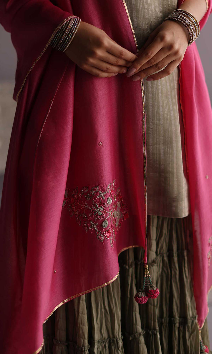 Daria Set- Blue chanderi hand embroidered sharara set (set of 3)