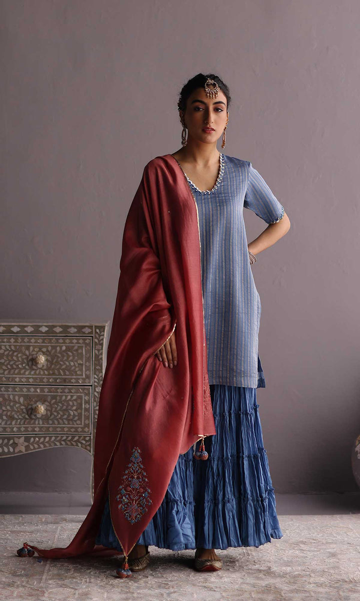 Daria Set- Blue chanderi hand embroidered sharara set (set of 3)