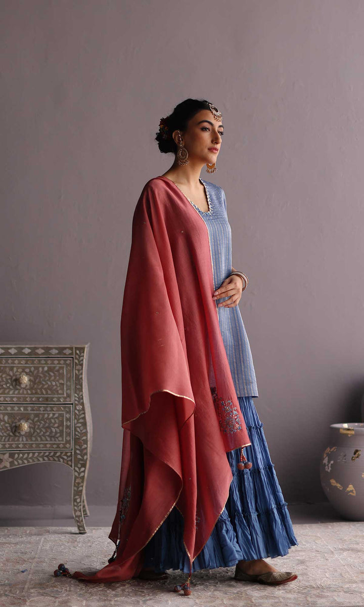 Daria Set- Blue chanderi hand embroidered sharara set (set of 3)