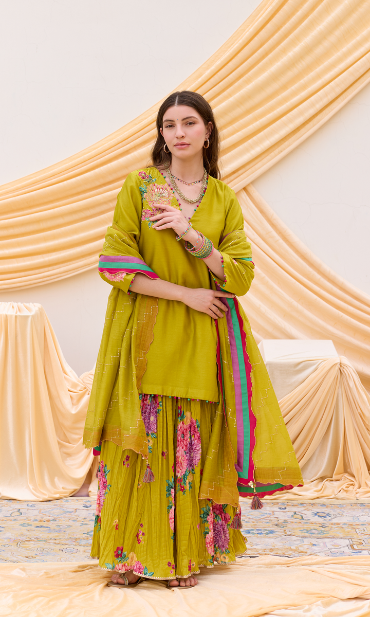 Ruwa Set- Hand Embroidered Kurta with Printed Sharara and Dupatta (set of 3)